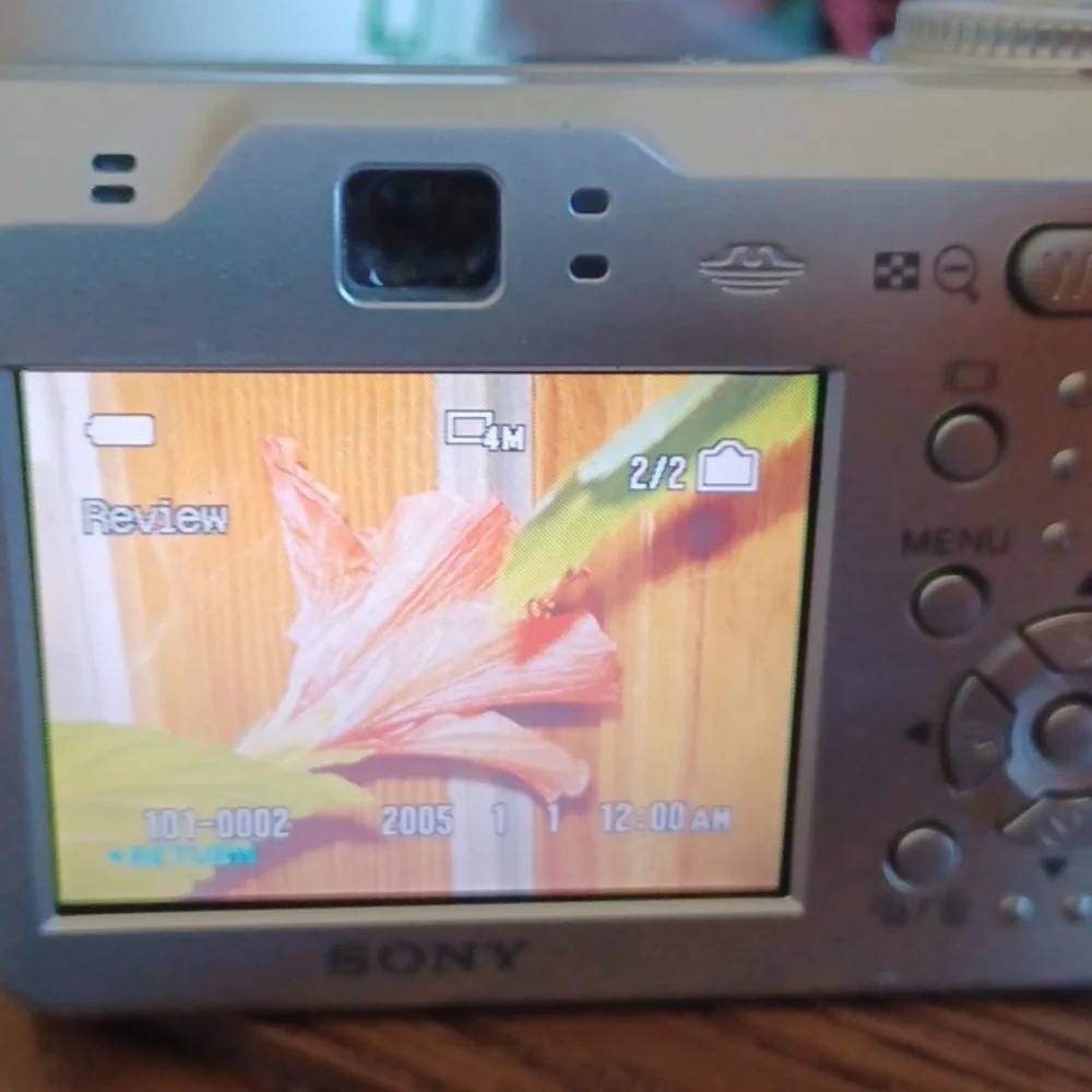 Sony Cyber-shot 4.1mp zoom carl zeiss digital camera with case